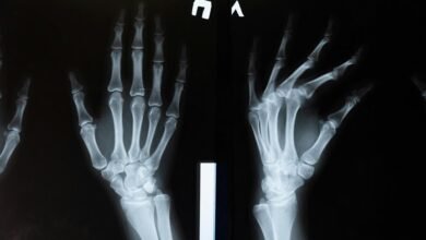 corporate systems examination report