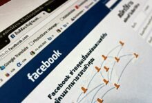 professional web platform online